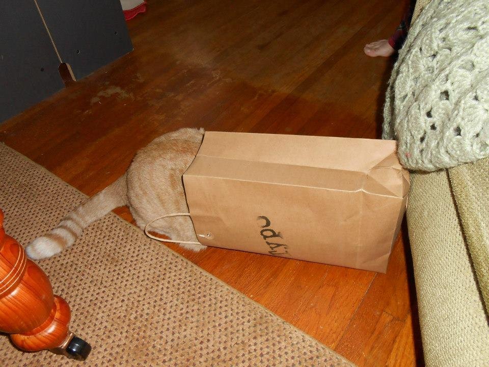 Marti , of course, is only interested in the bags.