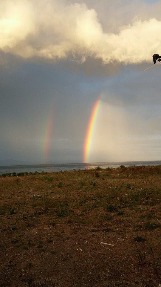 Evening treat from our campspot