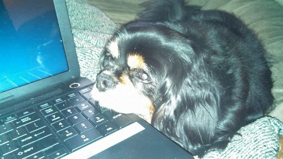 Kenz wants me off the computer.