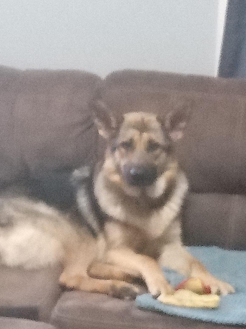Mary is looking at the camera you're pretty girl is having a good day today