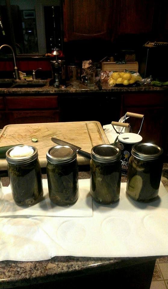 4 quarts of dill pickles from cucumbers from my garden!
