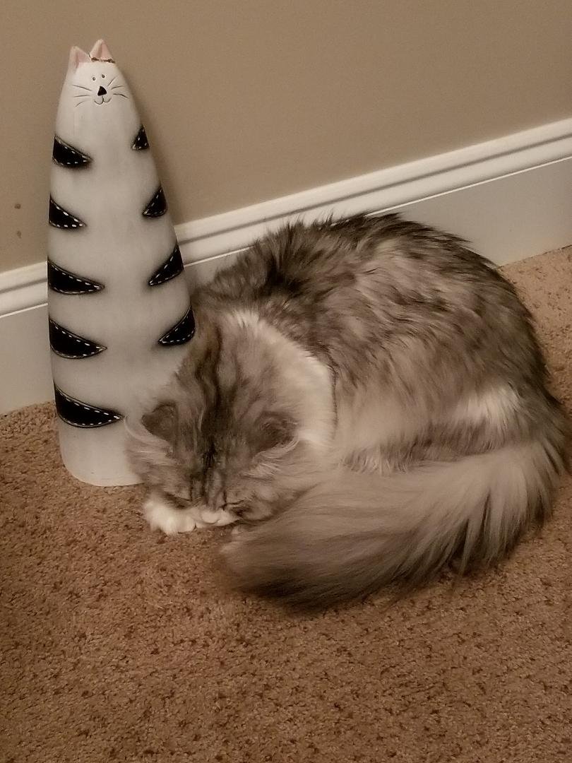He thinks he found his mama!
