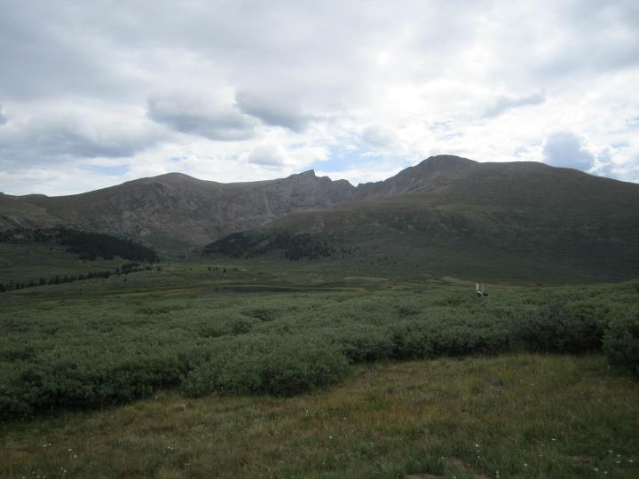 Roberta Andersen's album, Mt. Bierstadt