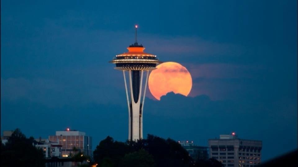 The Seattle view.