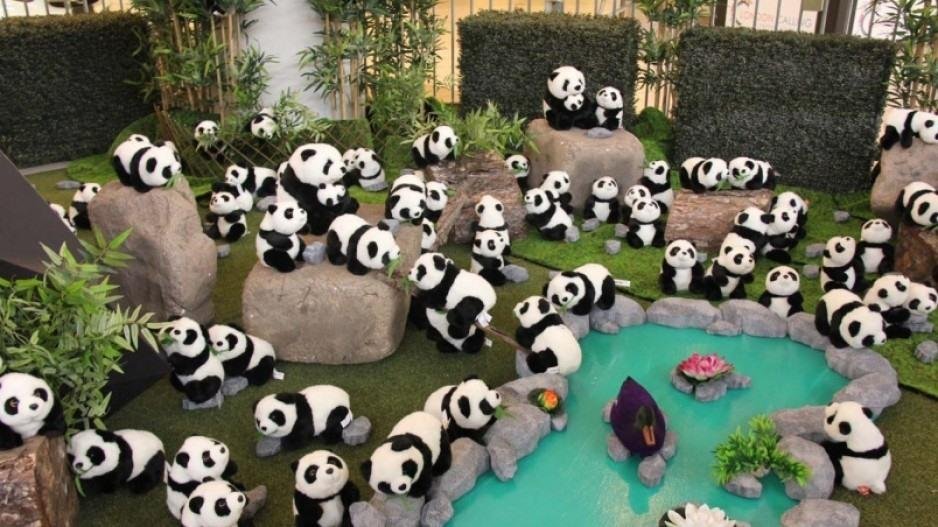 A group picture of tonight's Democrat debate.