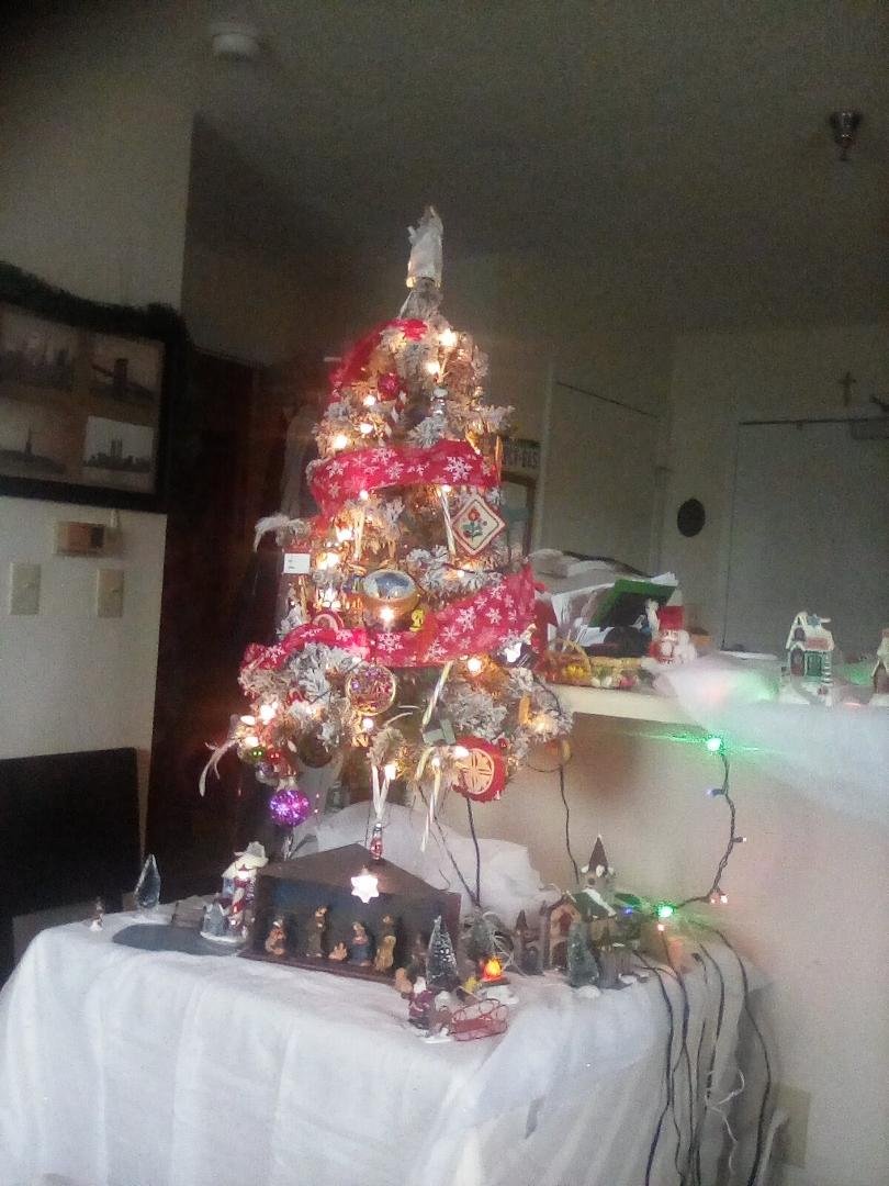 Merry Christmas to all! Enjoy the feeling of peace, joy and love. May the Christmas angel bless you and yours.