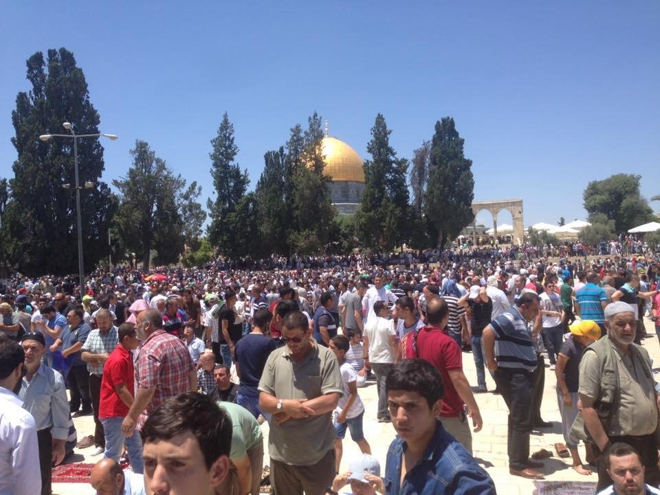 Mohammad Ribhi's album, Mobile Uploads