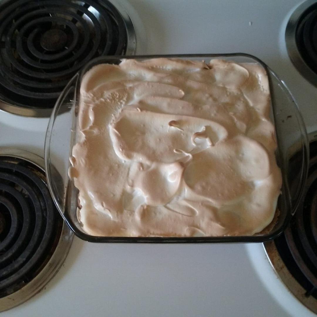 Homemade rhubarb custard dessert