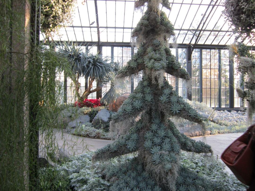 Kathleen Cunningham's album, December 17, 2011