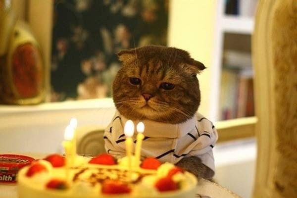Happy birthday Jamie - Hopefully you will get your package soon...