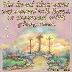Nancy Horne's album, Mobile Uploads