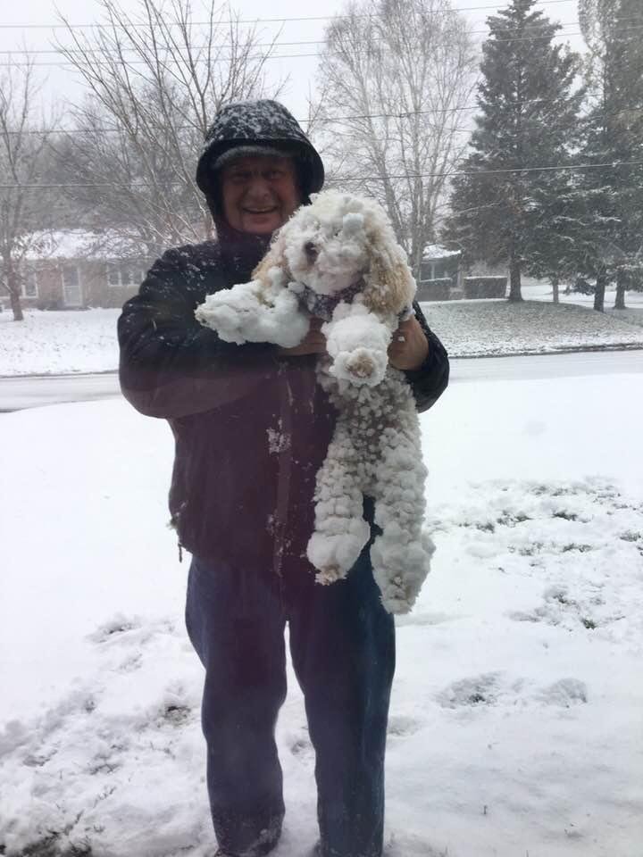 At least one of the Anderson’s likes the snow