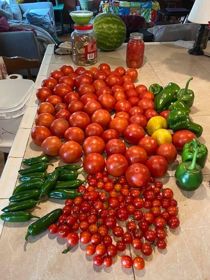 Not a bad haul from the garden today. Tomatoes went crazy this year.