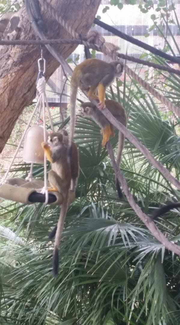 Perfect weather for a zoo day!