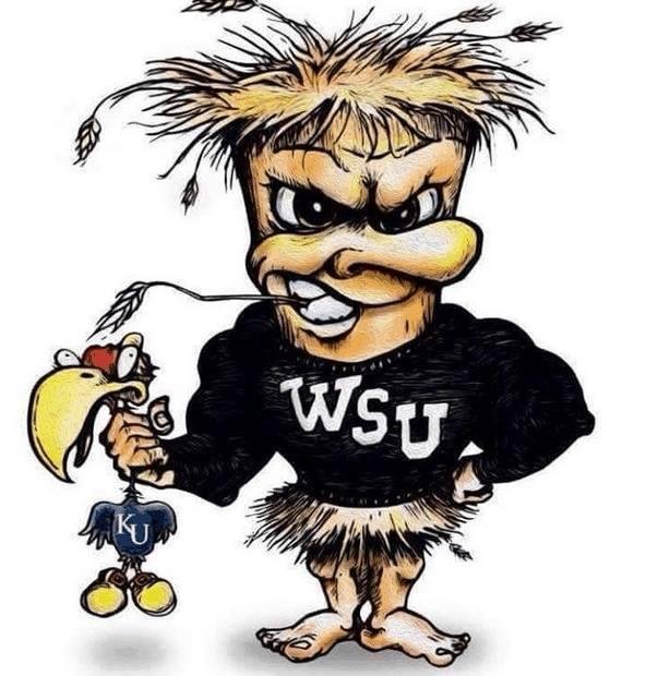 The Mighty Shocks !!