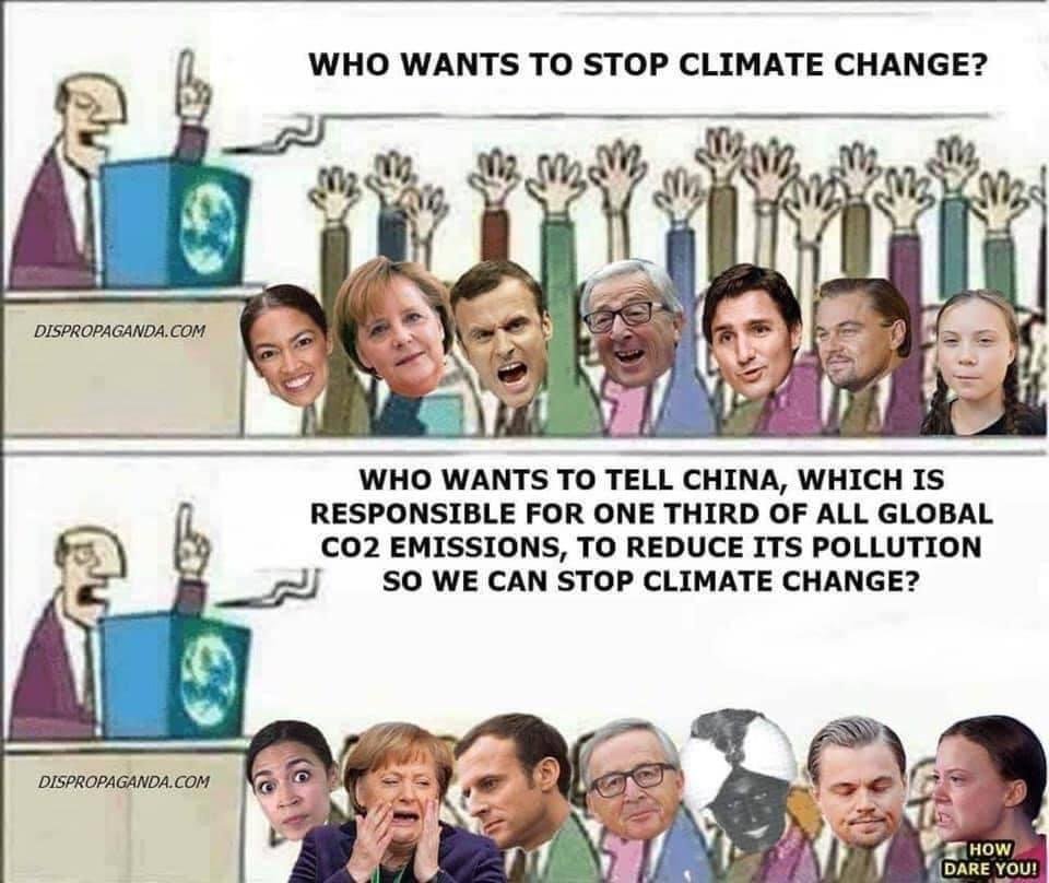 Gerard Damore's album, Timeline photos