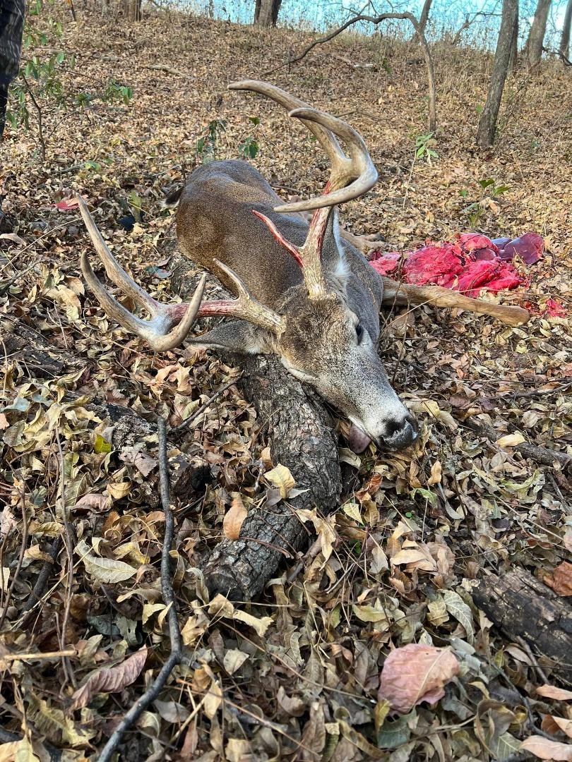 Got me a little 8 point today!