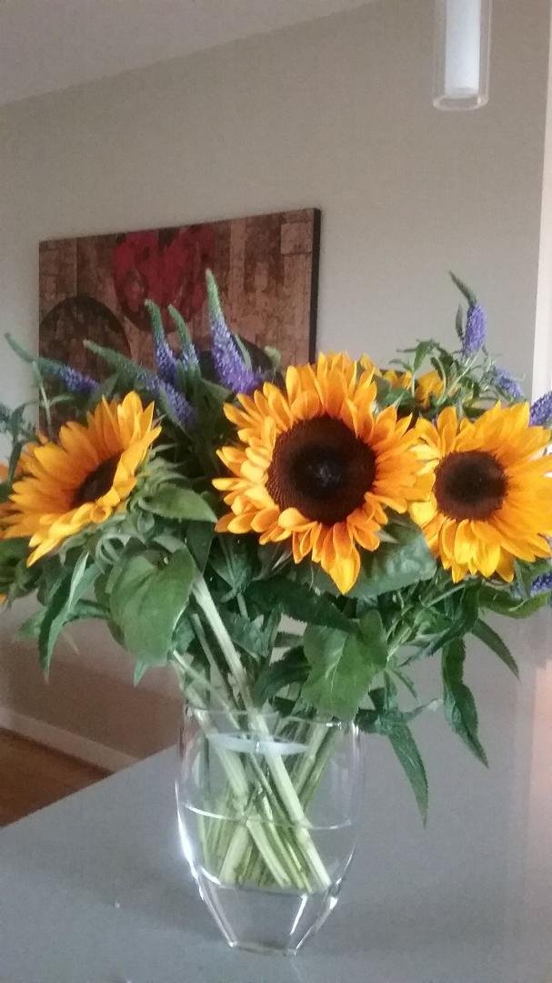 This made my morning! Thank you my friend!