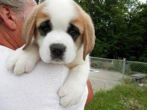 How cute is this little pumpkin?