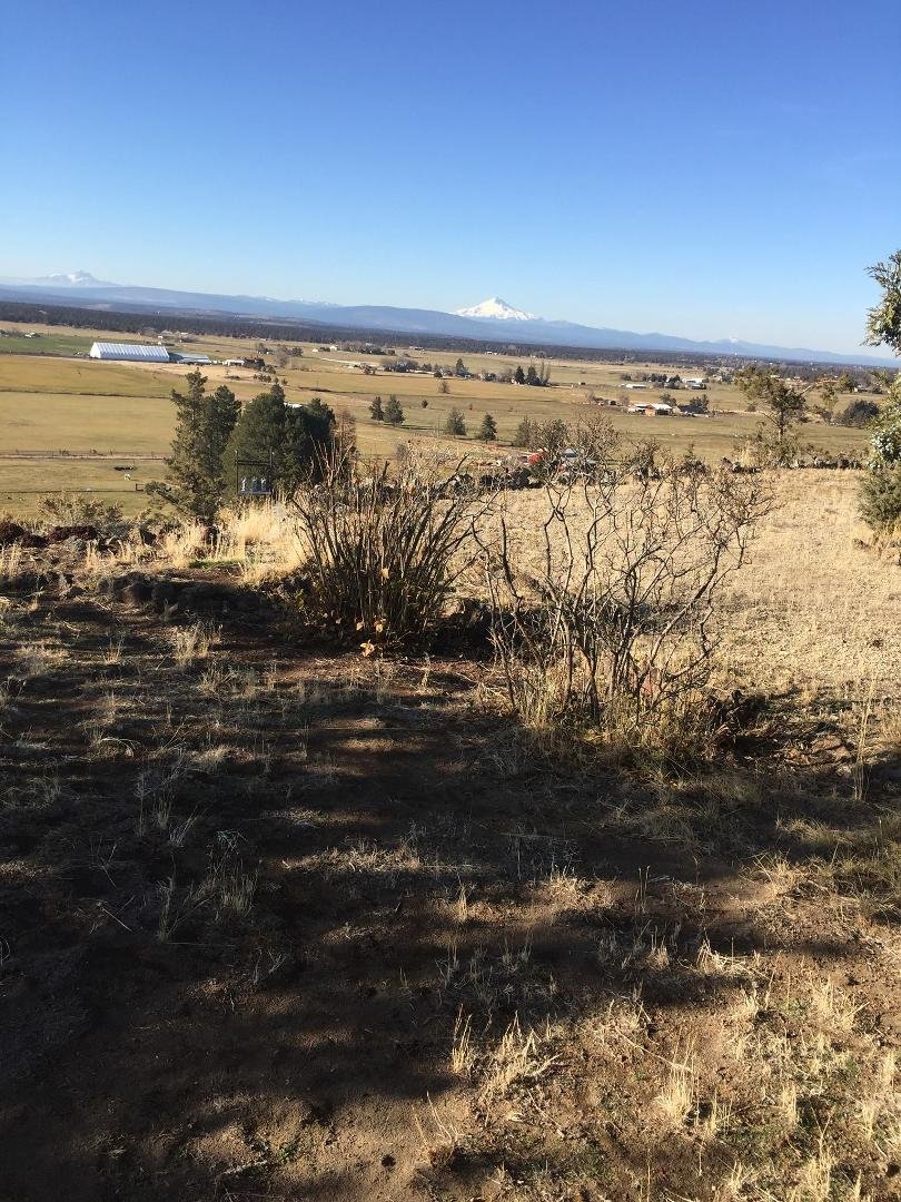 The tiny white dot is snow covered mountains when we look at it looks 5 miles away!
The cat is Maudee