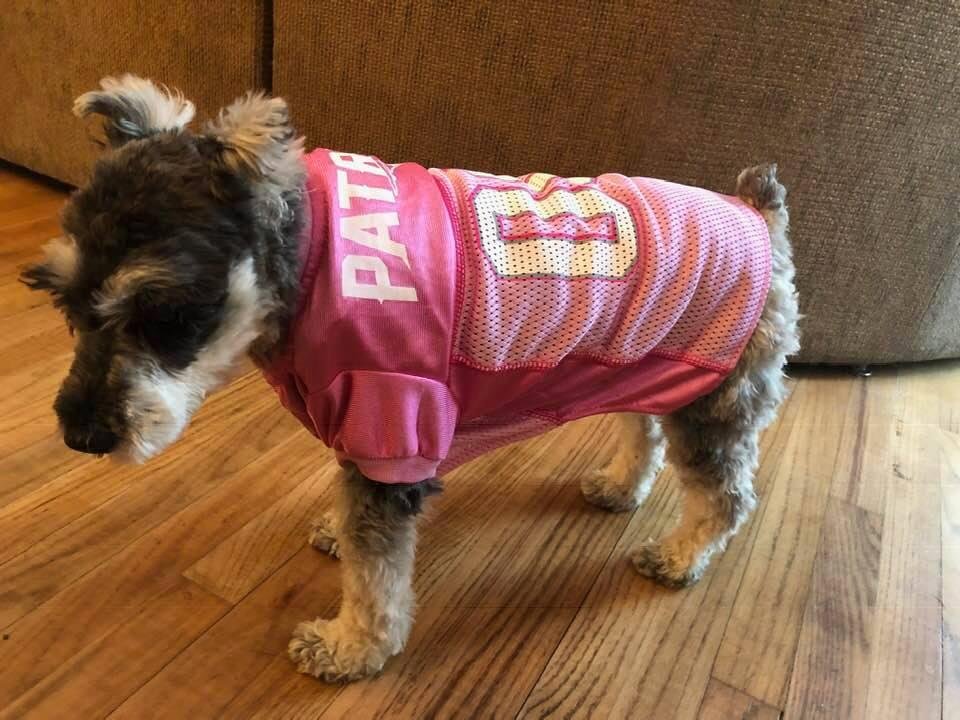Mystie is game ready!!!!