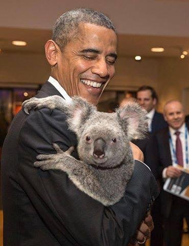 Being a koala lover and a diehard Democrat, I don't know if I am jealous of President Obama gets to hold a koala -OR- the koala gets to meet President Obama.