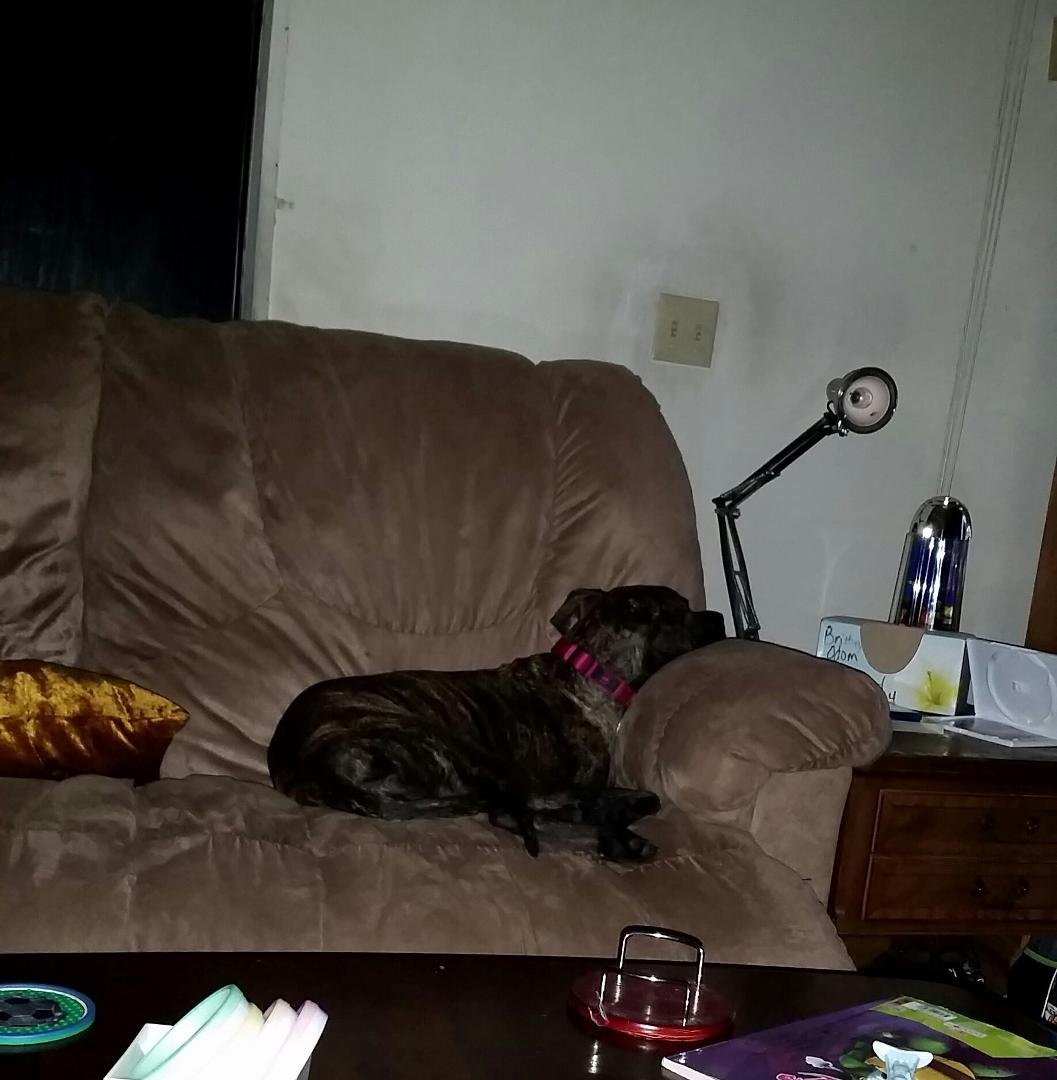 Leigha is pooped from a full day at work.