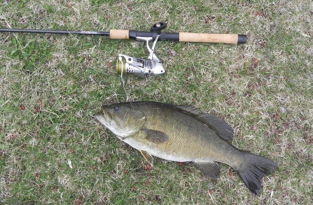 19 inch smallmouth
