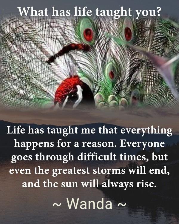 Wanda Bencze's album, Timeline photos