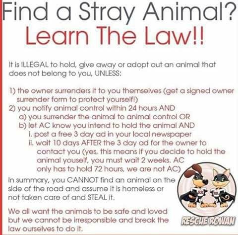 Wanda Jones' album, Timeline Photos