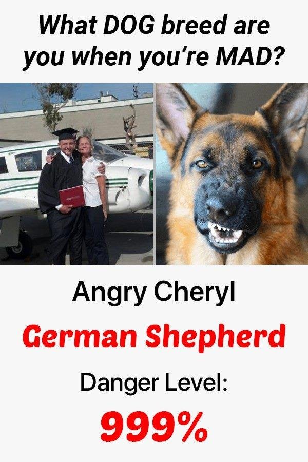 Cheryl Humphry's album, Mobile Uploads