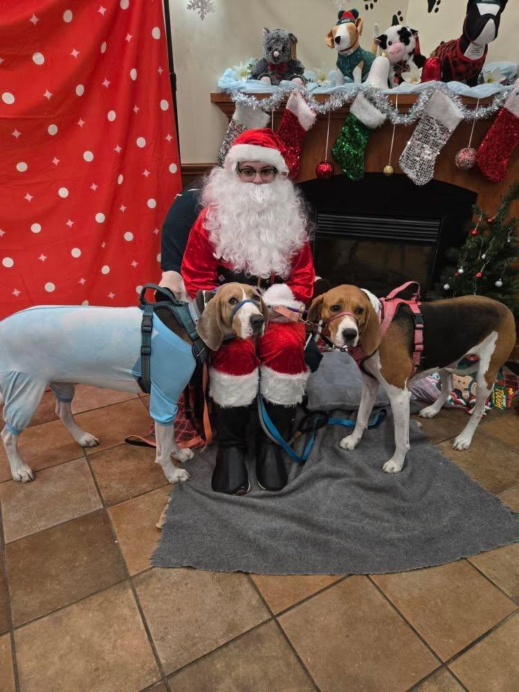 Lexie and Gunner saw Sanra Claus at Pwt Smart-!!!