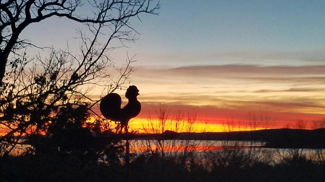 Roger Bartlett's album, Timeline Photos