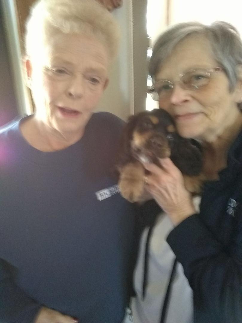 Had a visit today from Finn and Jane♥️