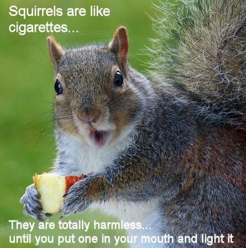 Dwight Cannon's album, Timeline Photos