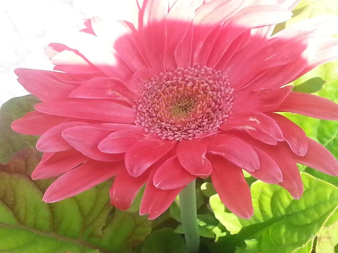 Susan Mallatratt's album, Timeline Photos