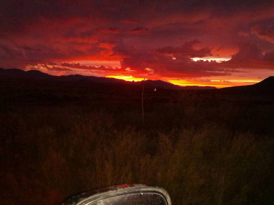 Went to dinner with a friend and this was the view it was great