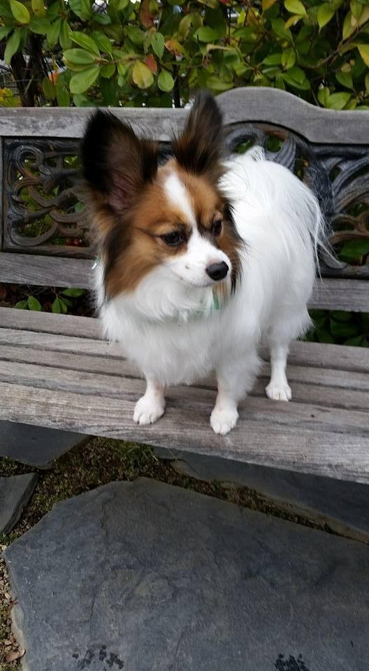 Our Ella Bella