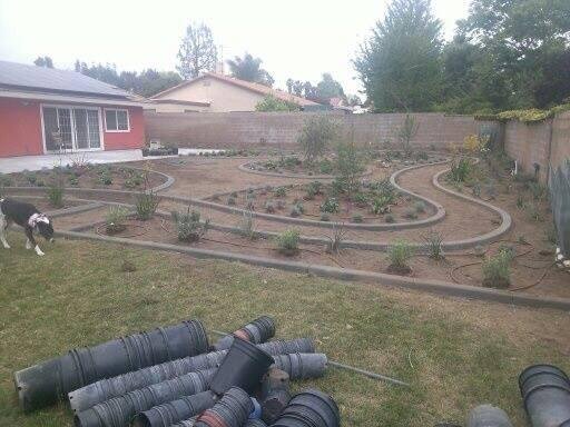 The new back yard is shaping up, a miniature Buchard Garden