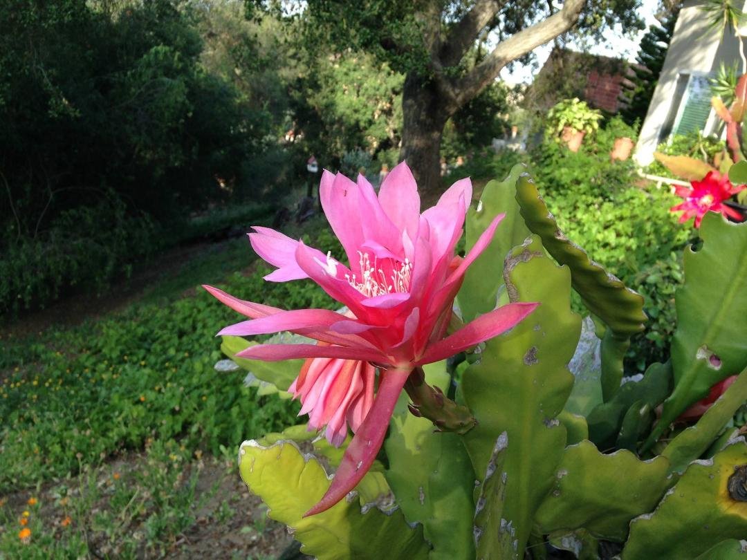 Judith Ivison's album, Timeline Photos