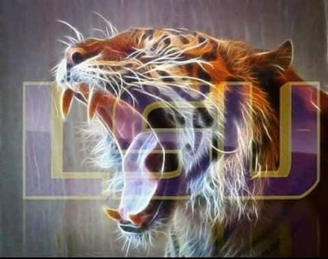 DOWN GOES AUBURN !!!! 48-18 the War Eagles were grounded in Death Valley Baby. ( we ALL know they ain’t Tigers!!). STTDB!!!! GEAUX TIGERS!!!!🐅