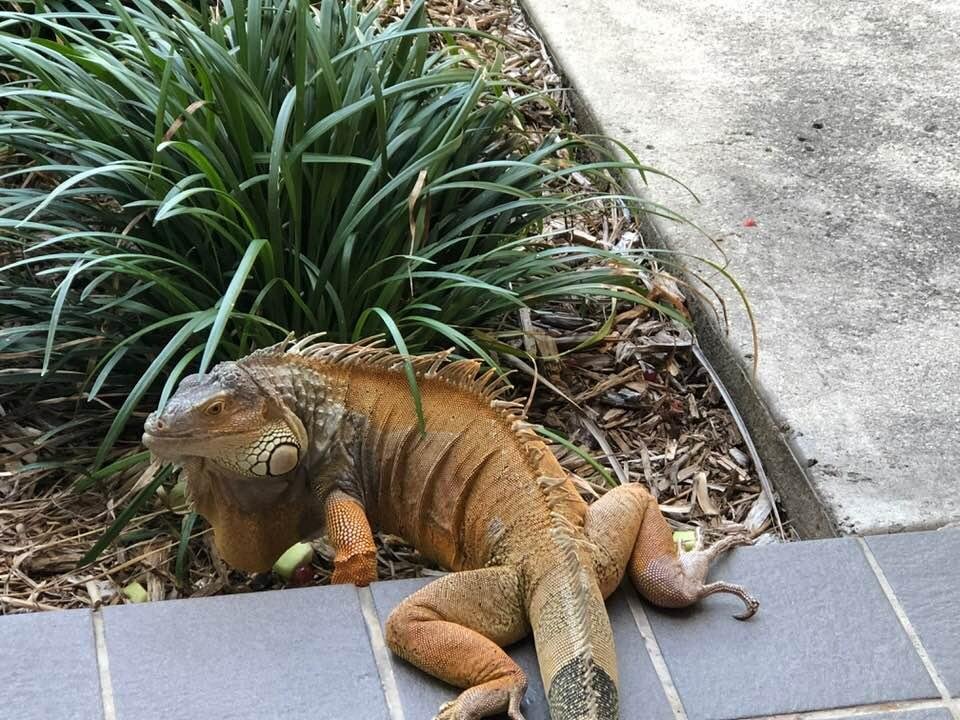 My lunch time friend today.