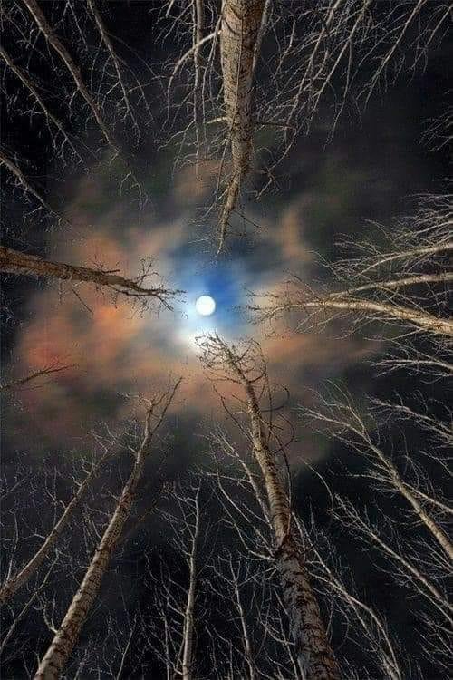 FROM Karen Judycki Opyd . I left my phone by Terry's
Good night, sweet dreams.
