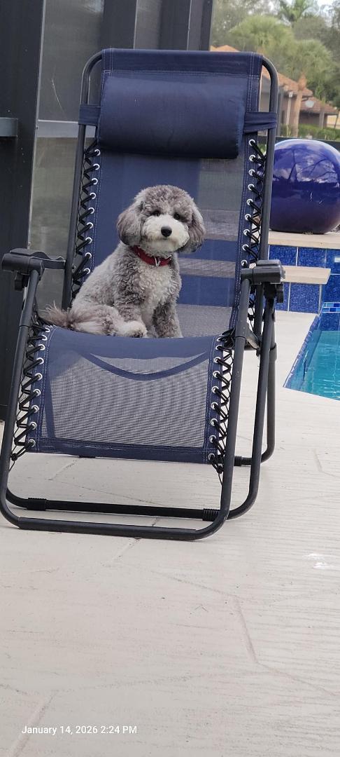Another hard day sitting by the pool