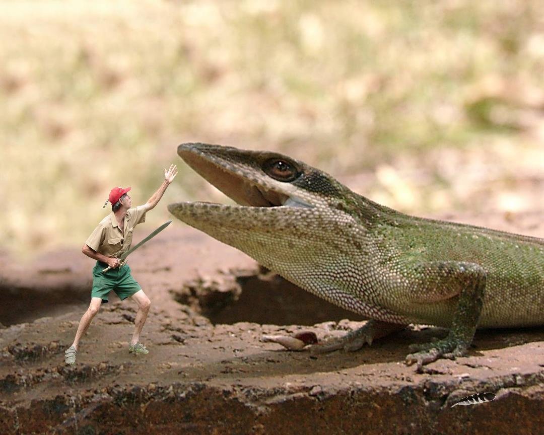 Hi ! There...
Taming... A Dragon... ToDay !