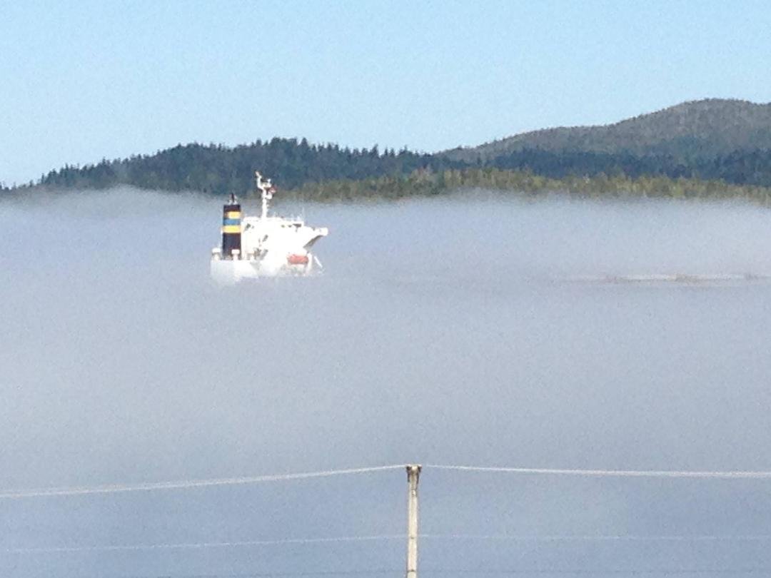 Rob Vallee's album, Prince Rupert Fog