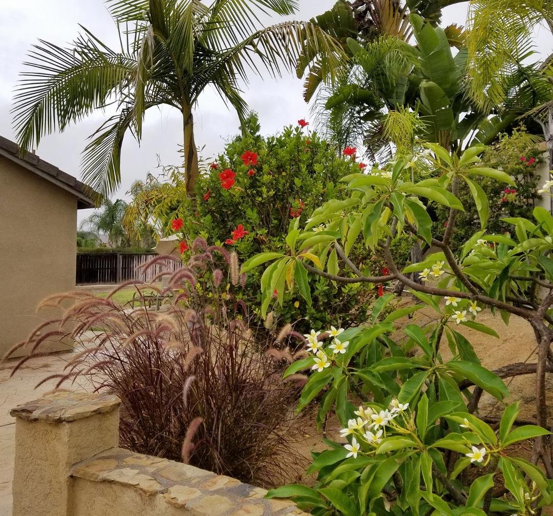 A Gray and misty morning but it smells fresh and clean outside.