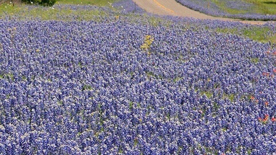 Texas Hill Country