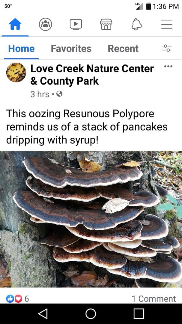 Jeff have you seen these?
