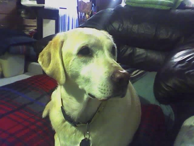 Randy Conover's album, iOS Photos